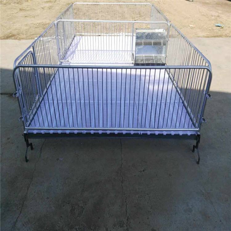 保育床 小猪用保育床 小猪复合漏粪板保育床 沃洲畜牧