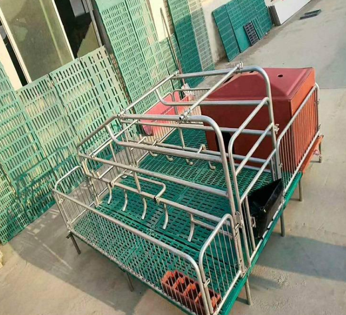 泓牧养殖 猪用保育床 母猪产床尺寸 工厂专用