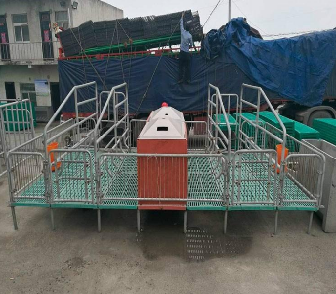 泓牧养殖设备 猪用分娩床 母猪产床尺寸 猪场专用