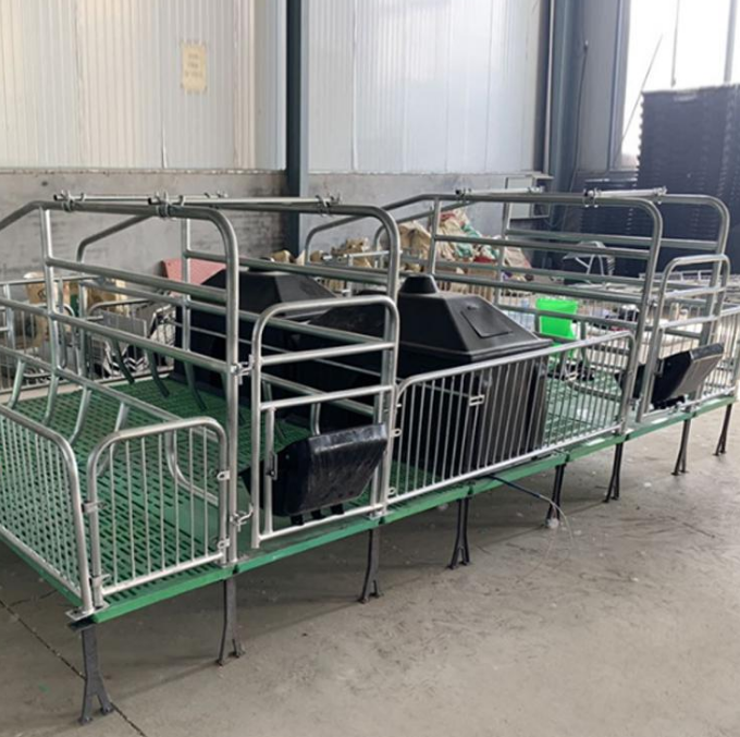泓牧养殖设备 猪用保育床 保护仔猪 猪场专用