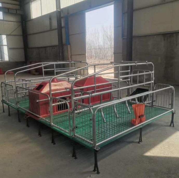 泓牧养殖 定制养殖场仔猪保育床 母猪产床价格 猪场专用
