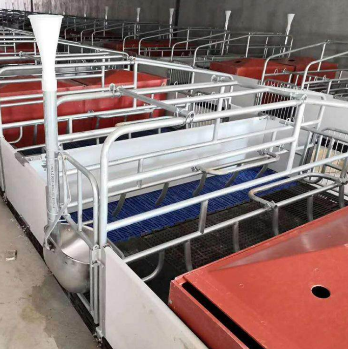 泓牧养殖公司 定制养殖场仔猪保育床 母猪产床尺寸 厂家直销