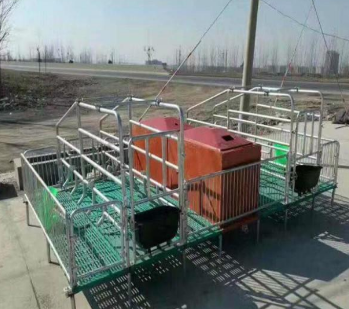 泓牧养殖公司 定制母猪产床 母猪产床价格 工厂专用