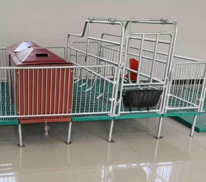 泓牧养殖公司 猪用保育床 母猪产床价格 工厂专用