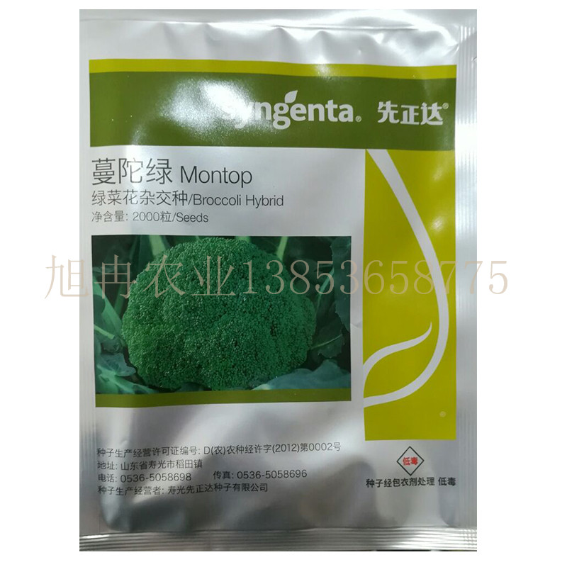 早熟 高产 耐抽薹西蓝花种子 青花菜苗 松花菜苗 青梗花菜苗 山东育苗基地旭冉农业