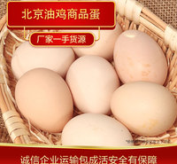 鸡蛋商品蛋 北京油鸡鸡蛋厂家大量供应油鸡商品蛋