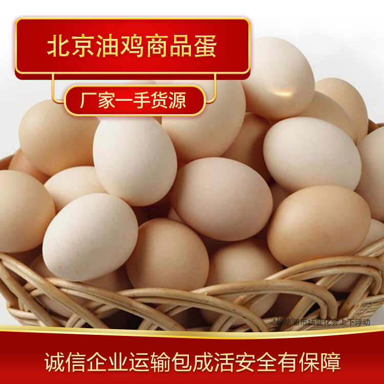 鸡蛋批发 北京油鸡商品蛋厂家供应 高质量鸡蛋