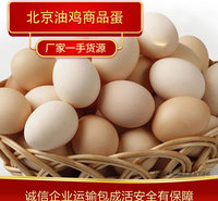 鸡蛋批发 北京油鸡商品蛋厂家供应 高质量鸡蛋
