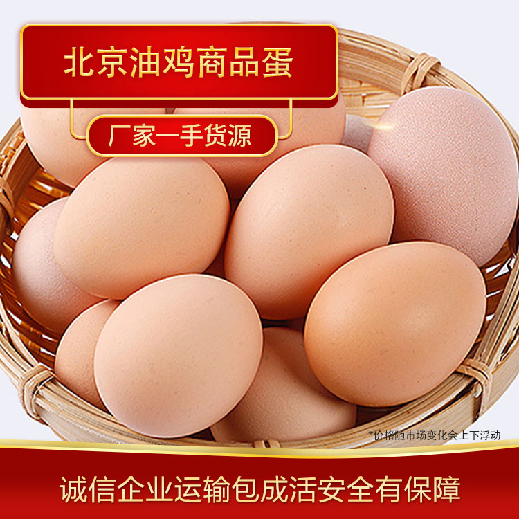 鸡蛋批发 北京油鸡商品蛋厂家批发 养殖场高产北京油鸡鸡蛋