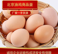鸡蛋批发 北京油鸡商品蛋厂家批发 养殖场高产北京油鸡鸡蛋