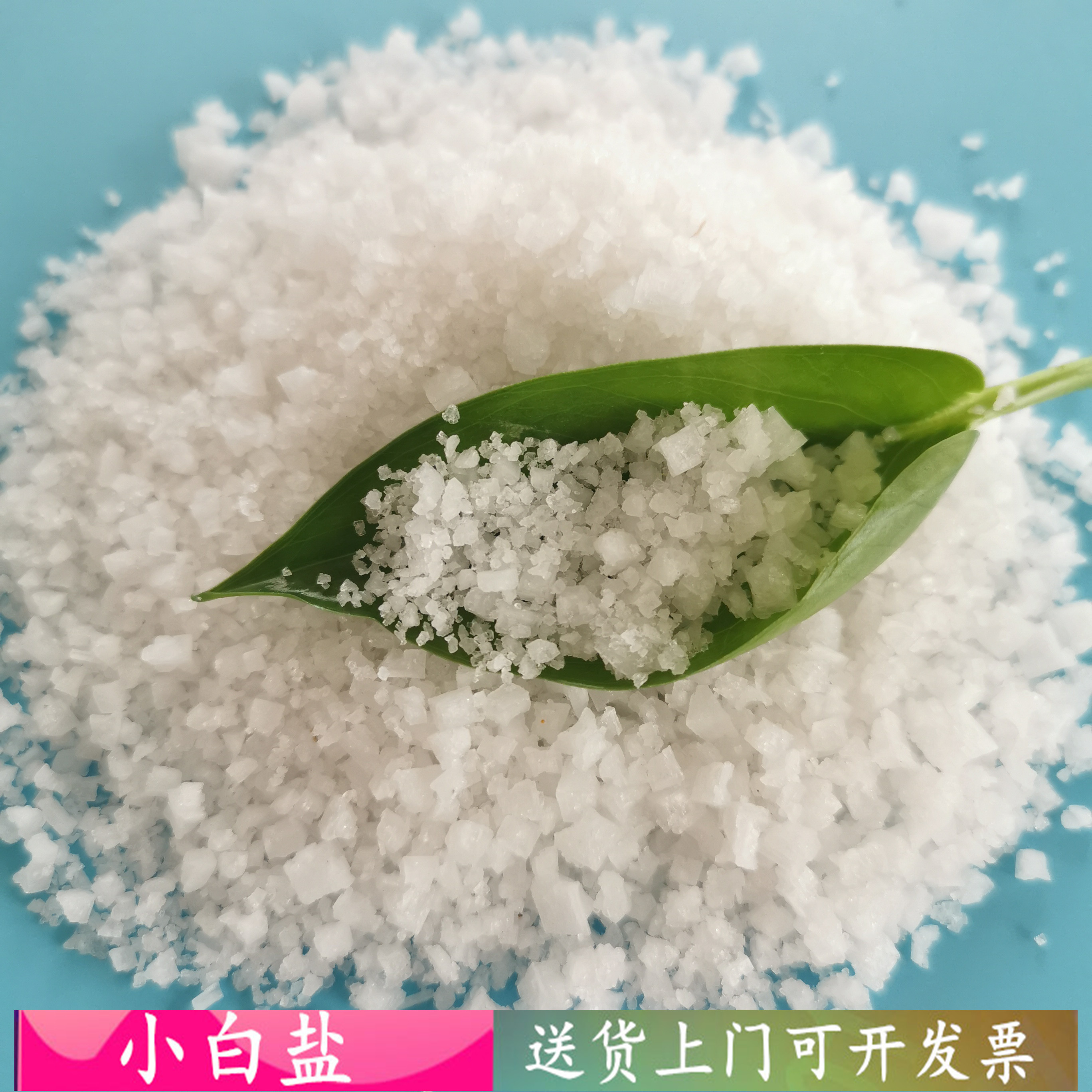 日晒工业小白盐 小白盐工业盐厂家直供 小白盐厂家找鼎昊 免费拿样