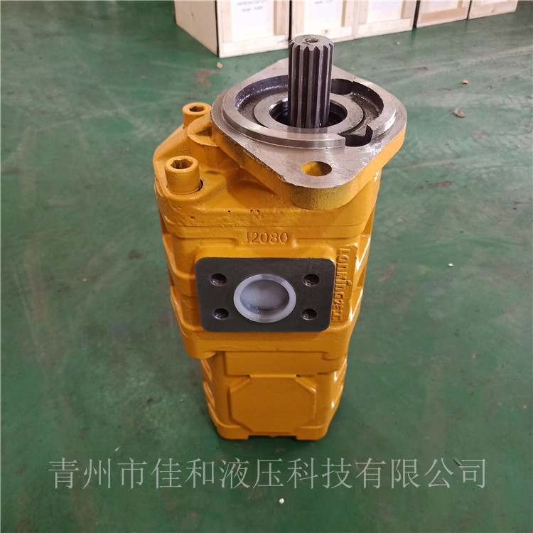 CBY3050/2006-131L 长江液压双联泵供应-青州佳和液压