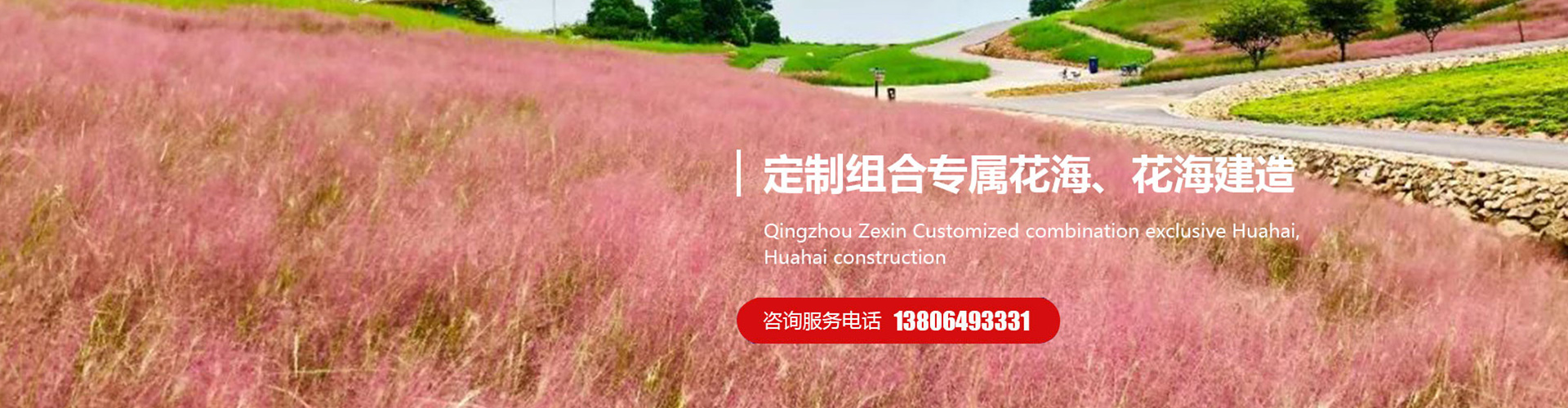 青州市泽鑫花卉苗木专业合作社 主营产品