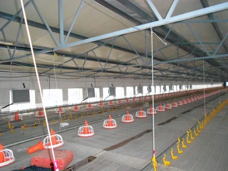 养殖场鸡用料线 水线全套喂养设备 可定制 厂家直销