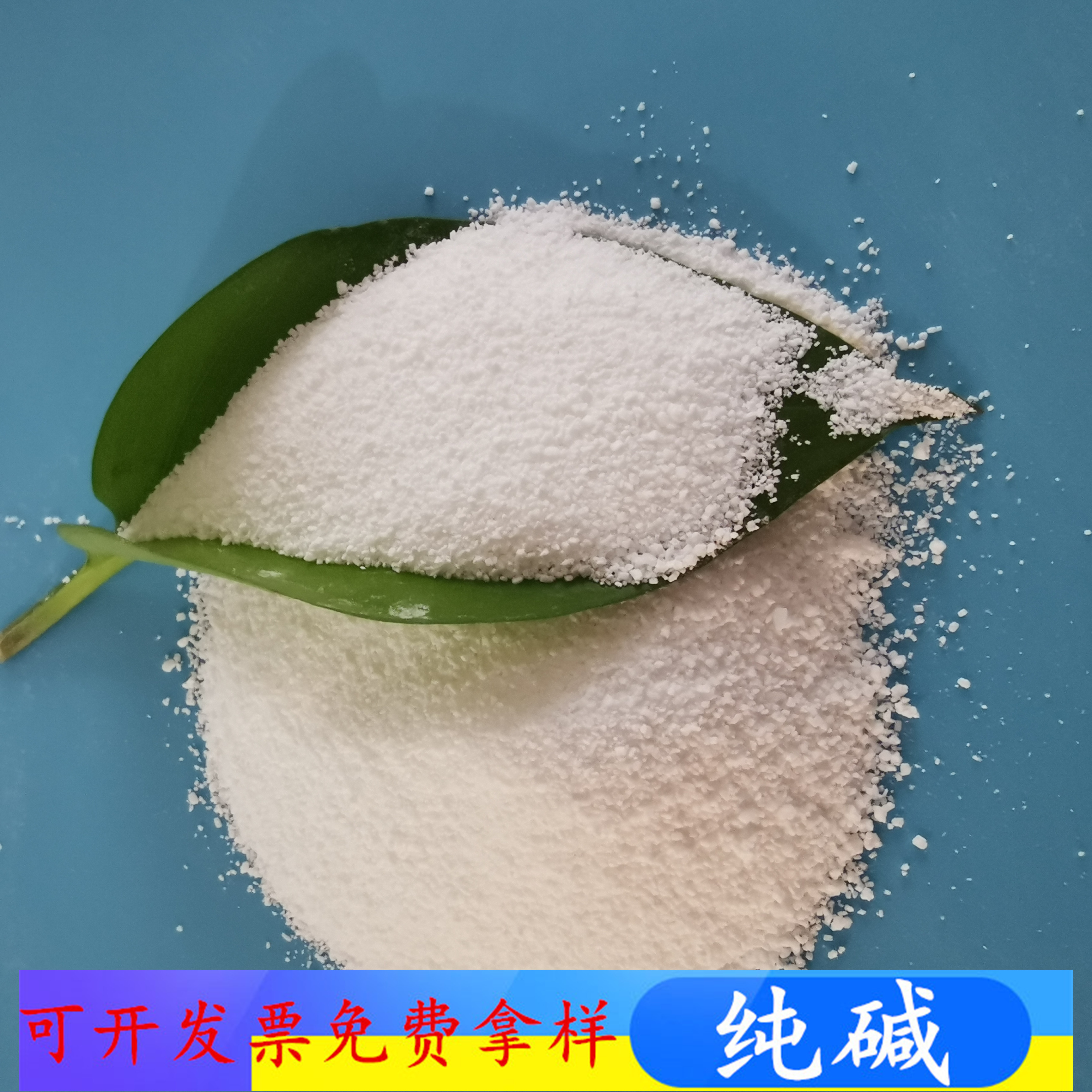 山东现货纯碱 玻璃印染用工业级纯碱碳酸钠 纯碱批发厂家