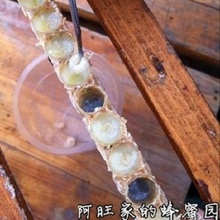 新疆 方山养蜂合作社直供2021年新鲜蜂王胎滋养卵巢滋养肌肤