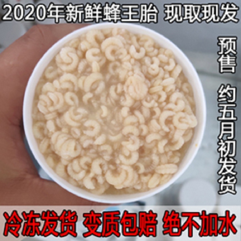 陕西 方山养蜂合作社直供2021年新鲜蜂子滋养卵巢滋养肌肤