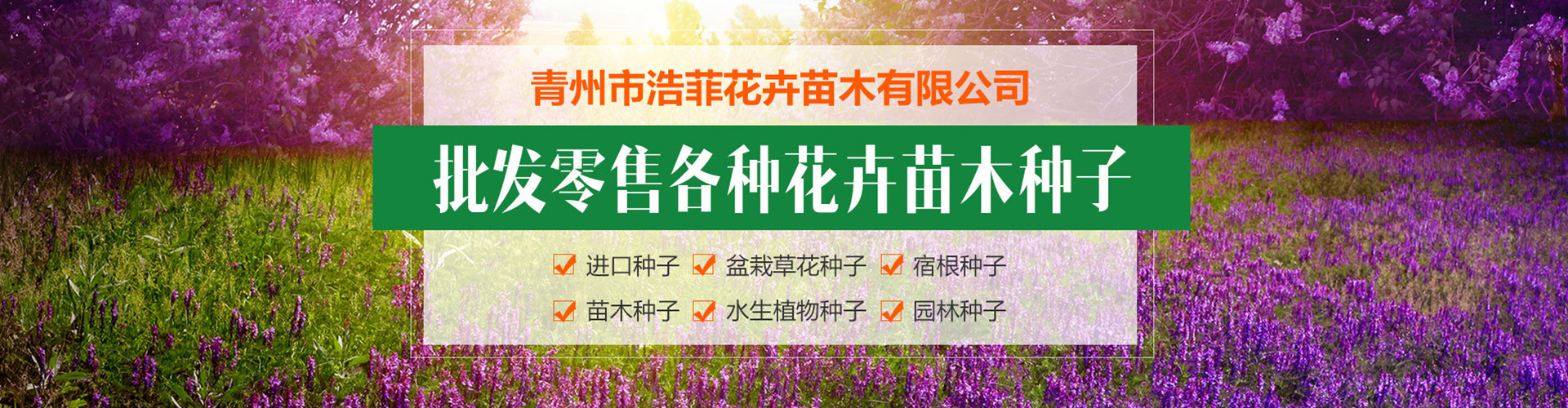 青州市浩菲花卉苗木有限公司 主营产品