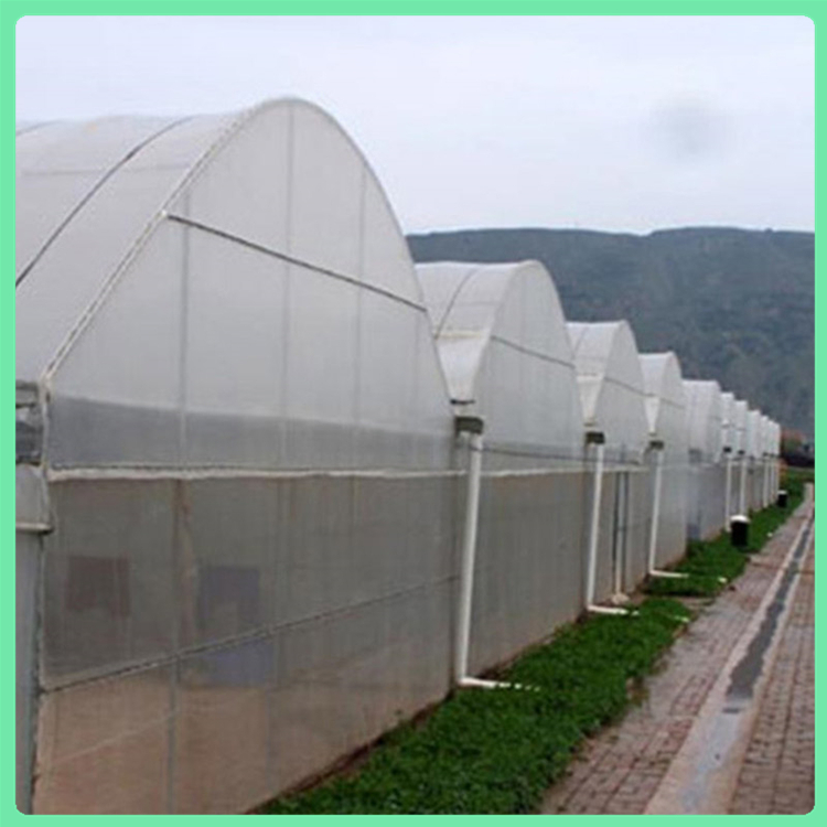 山东薄膜连栋大棚 建设速度快 薄膜连栋温室定制