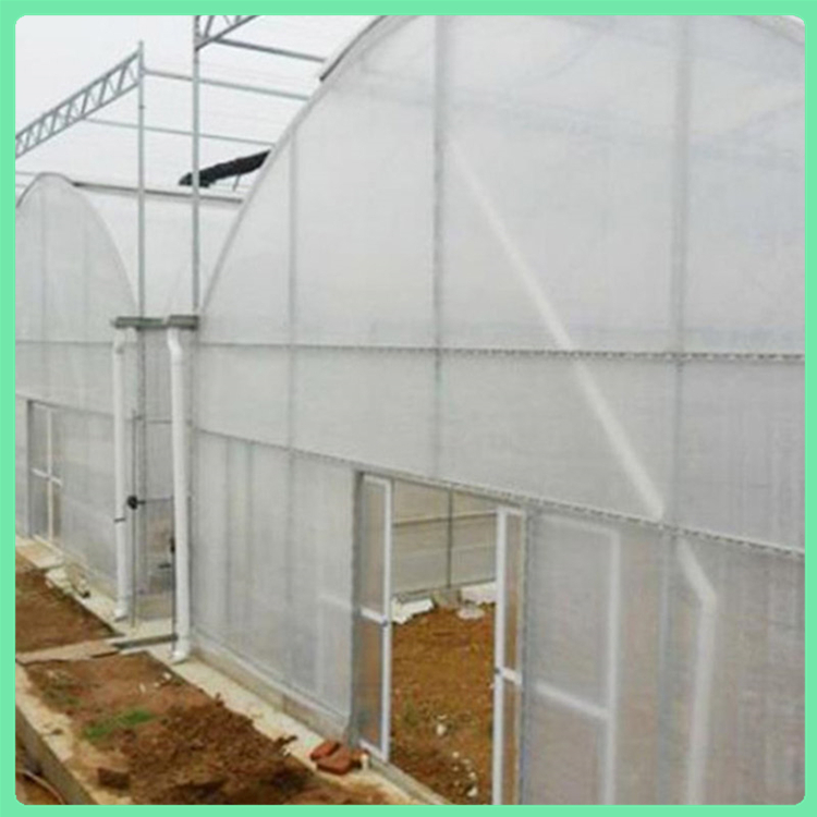 选材优良 连栋薄膜温室价格 山东种植大棚 连栋薄膜温室价格