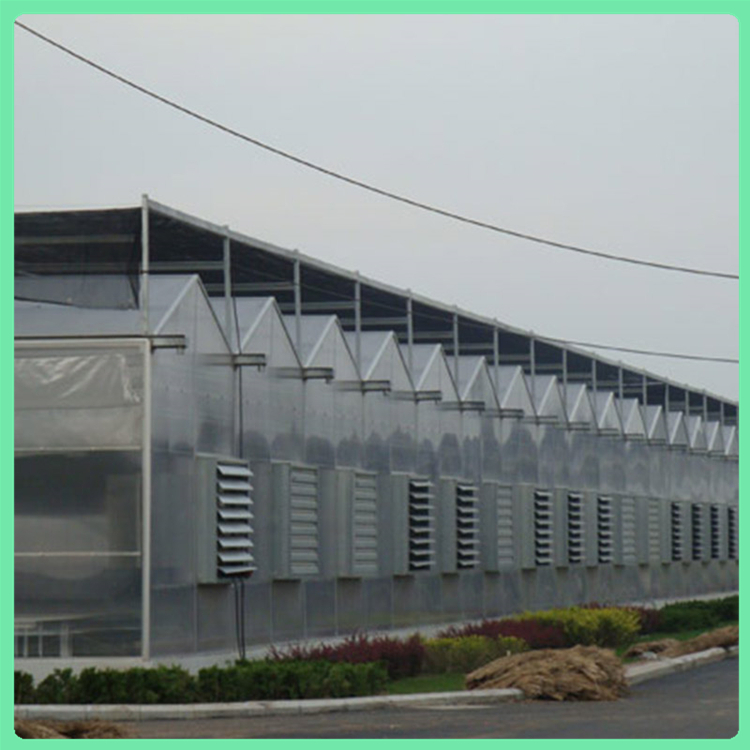 售后服务全面 阳光板温室公司山东阳光板温室工程