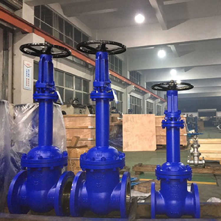 WZ41H波纹管密封闸阀 软密封闸阀 波纹管闸阀 沟槽闸阀