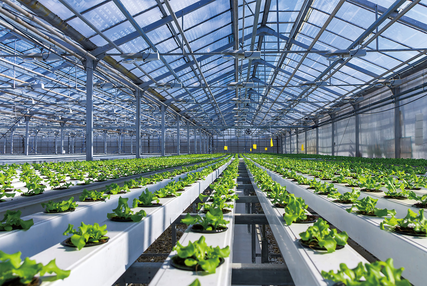 规模化科学养殖空调通风系统，菌类、花卉、蔬菜、畜禽类养殖