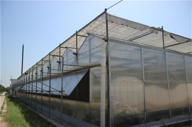 博盛 pc阳光板温室大棚建造  免费测量设计 欢迎来厂参观考察