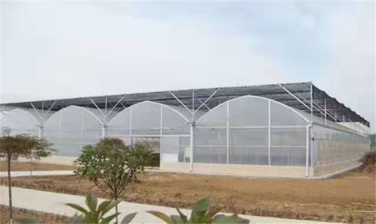 薄膜温室建造 经济实用  薄膜温室建造商  厂家实地考察设计安装