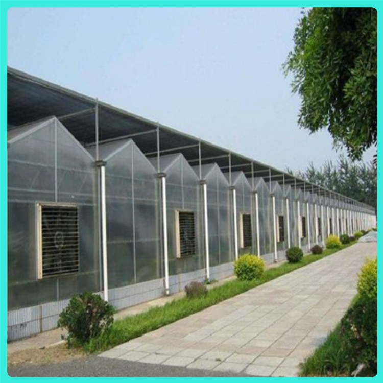 连栋大棚建设  透光率好 适用于农业种植，育苗，花卉，参观