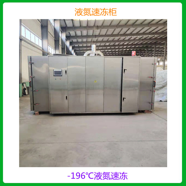 厂家定制生产 海鲜商用速冻柜 包子速冻柜 小型低温速冻柜价格
