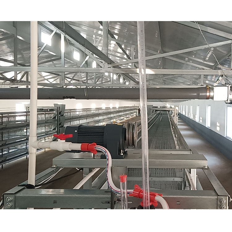 晟迈农牧厂家发售 温室用自动捡蛋机 蛋鸡养殖设备