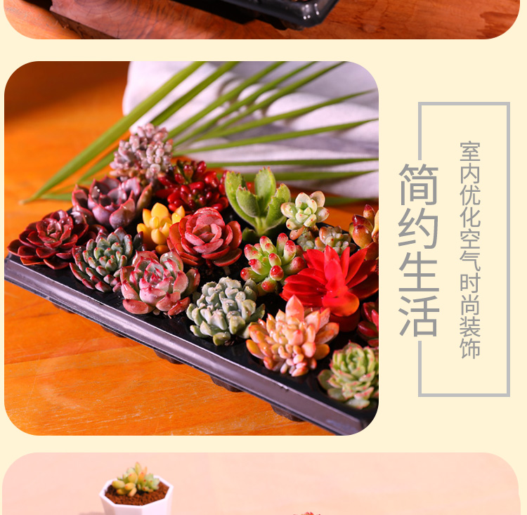 一件代发一件代发电商一件代发