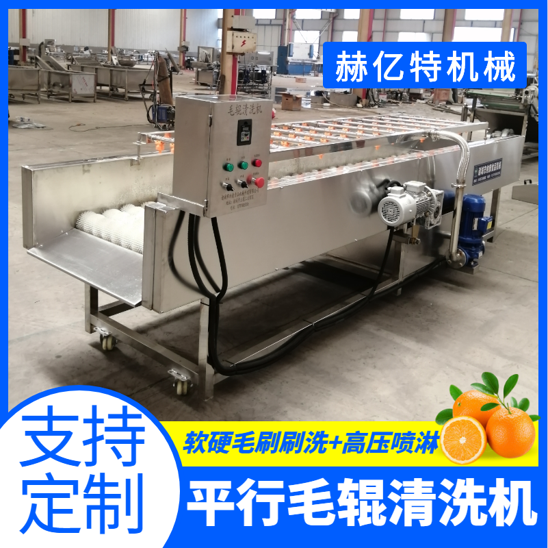 丹参毛辊清洗机 水果平行毛辊清洗机 根茎类蔬菜毛刷清洗机 赫亿特机械
