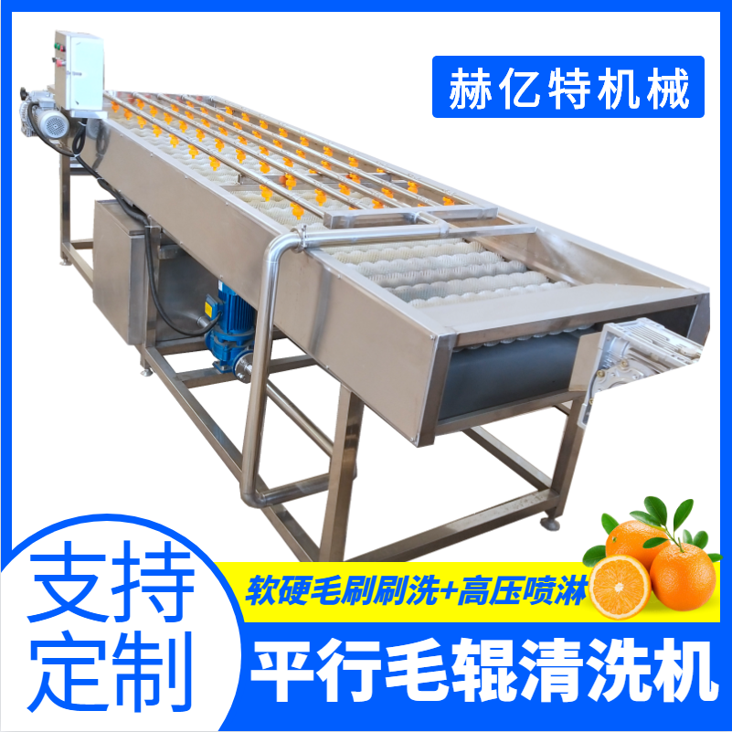 连续式毛辊清洗机厂家 大枣毛辊清洗设备 多功能平行毛辊清洗机 赫亿特机械