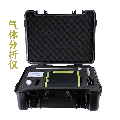 泵吸式一氧化氮分析仪 一氧化氮含量检测仪 一氧化氮浓度检测仪 电化学检测原理高性能工业级