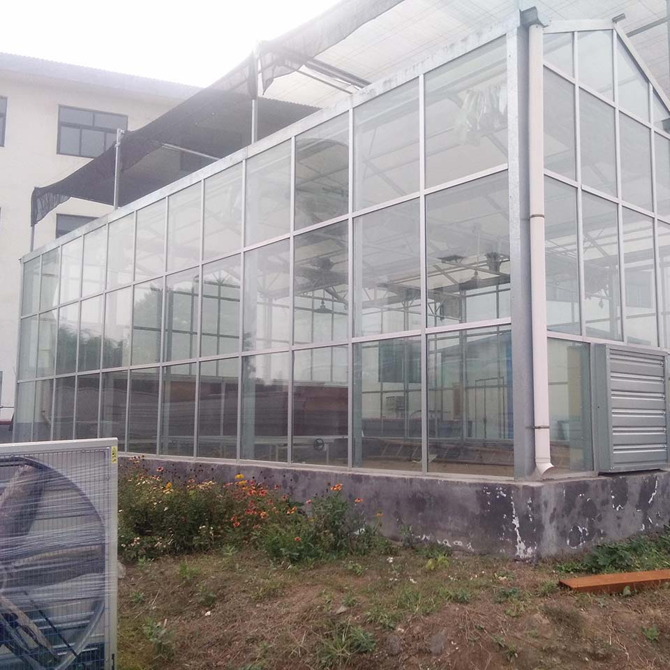 PC板温室工程承建 千汇 玻璃温室大棚设计 