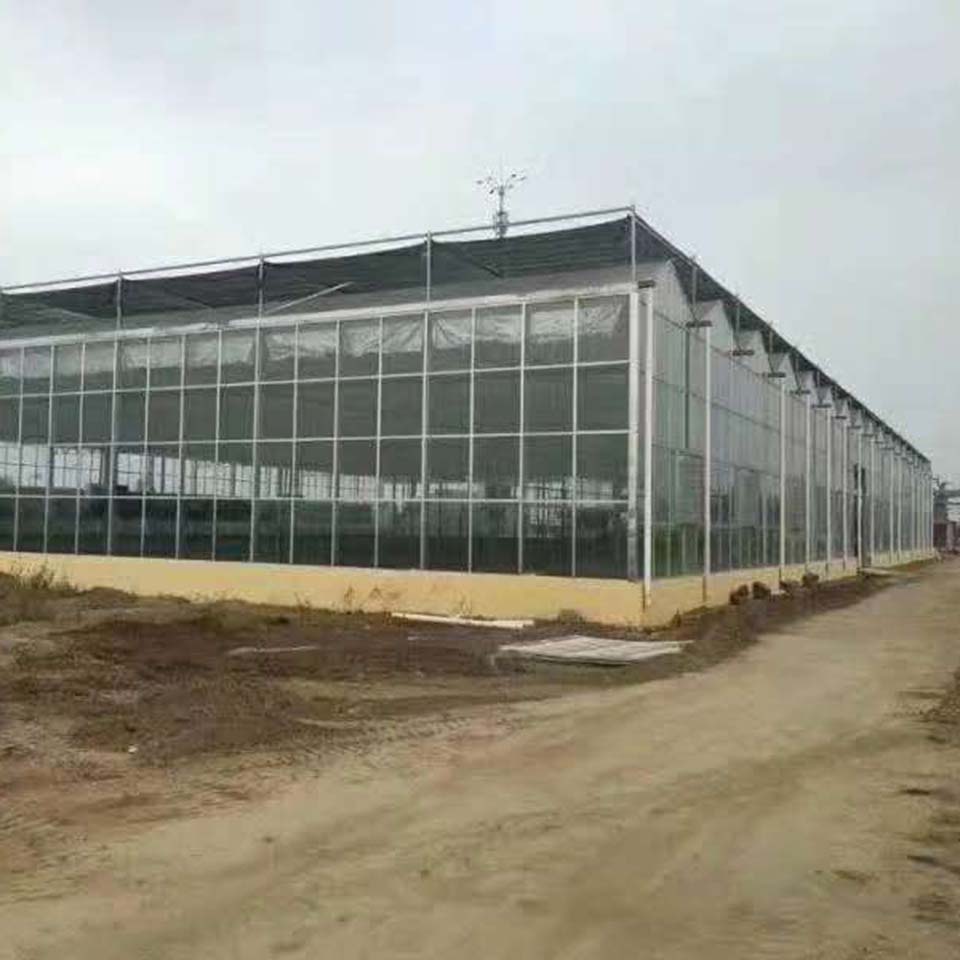 pc板温室大棚骨架 pc阳光板温室大棚 阳光板温室大棚建设