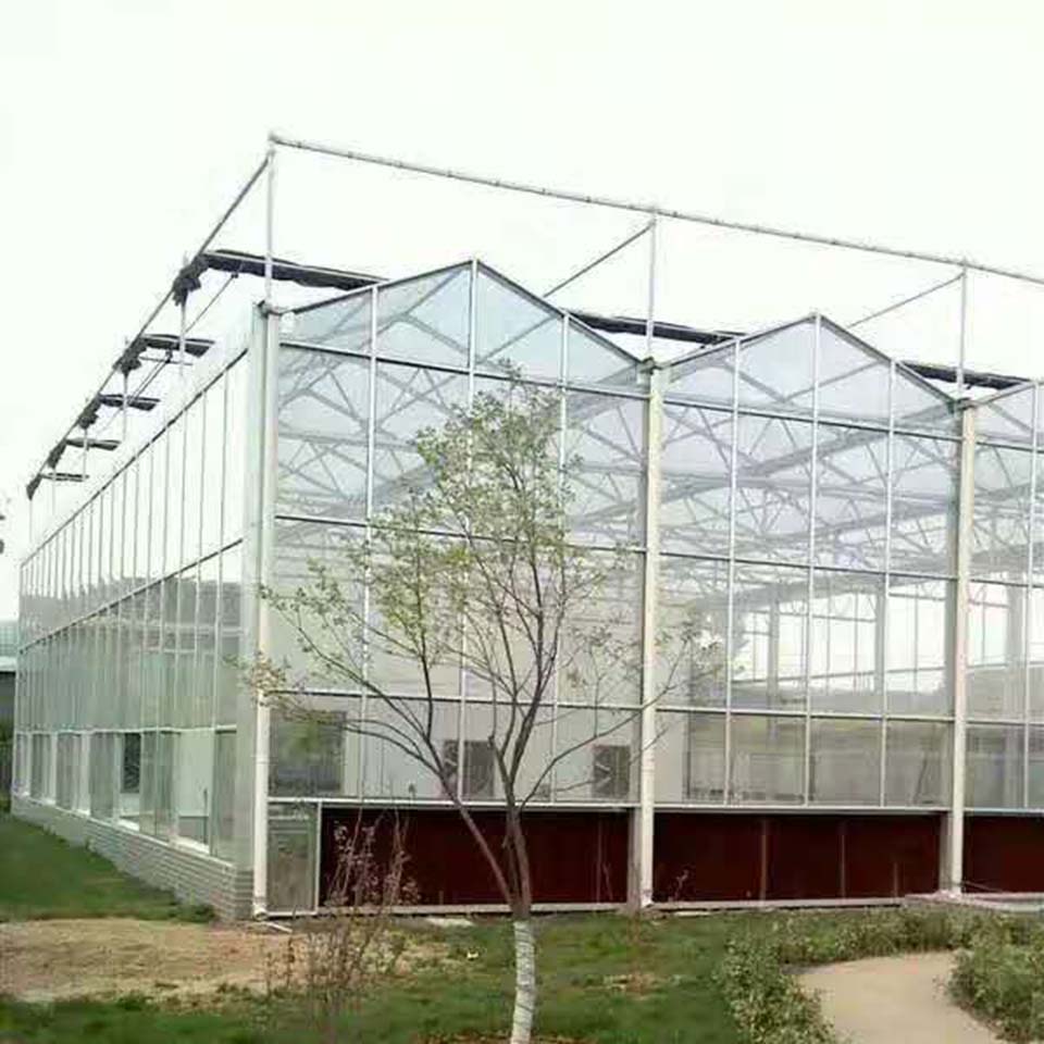 纹络温室大棚    连栋温室建设