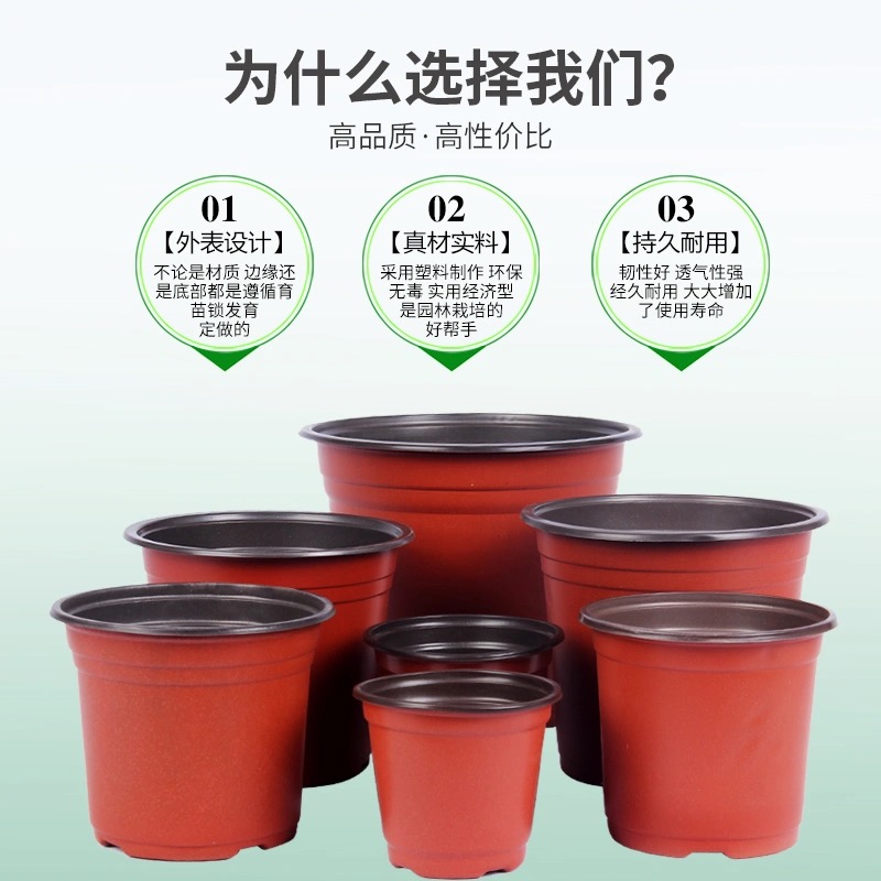 双色花盆 塑料花盆 双色育苗盆