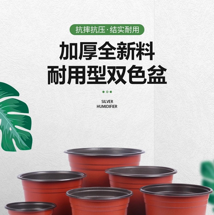 双色育苗花盆 加厚双色盆 双色育苗盆