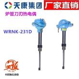安徽天康炉管刀刃热电偶WRNK-231D