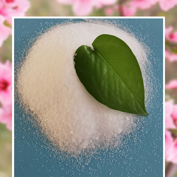 柠檬酸批发厂家 水处理用工业级柠檬酸 鼎昊现货柠檬酸