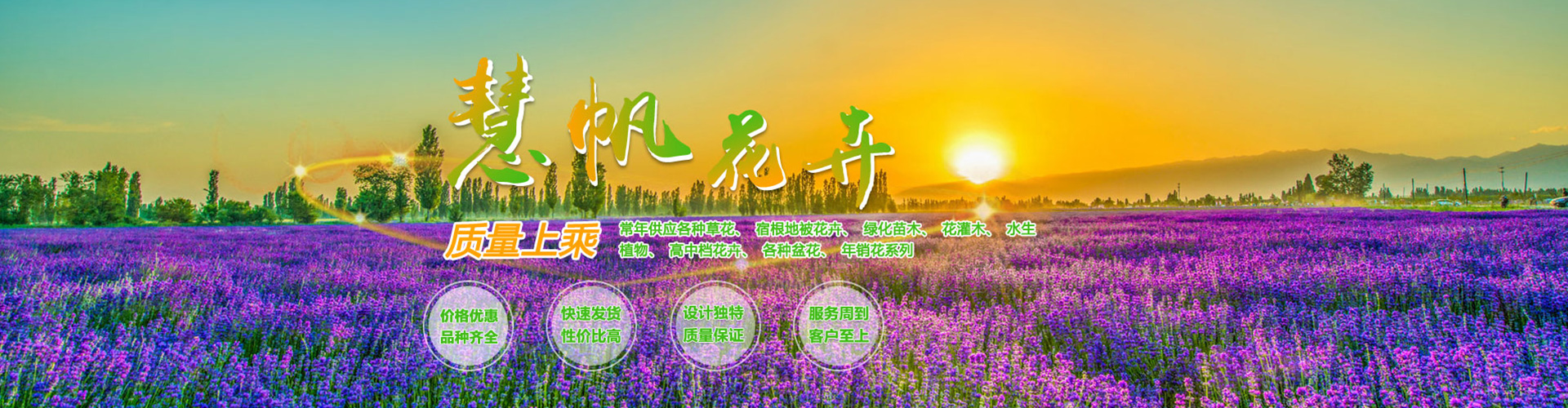 青州慧帆花卉苗木有限公司 主营产品