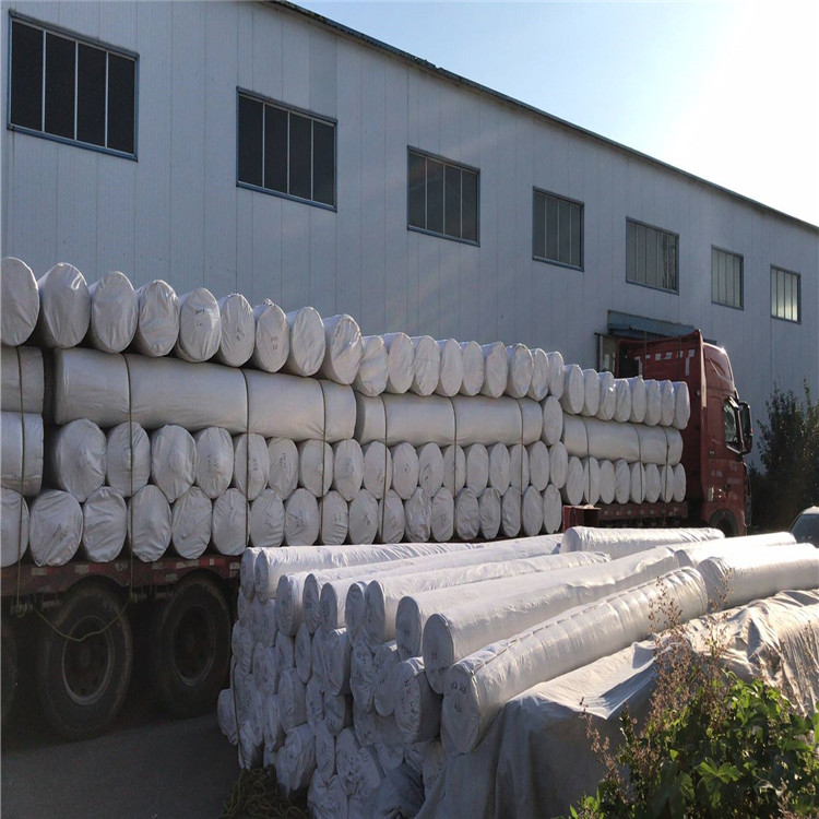绿色土工布 土层分离过滤800g绿土工布 欢迎电话咨询