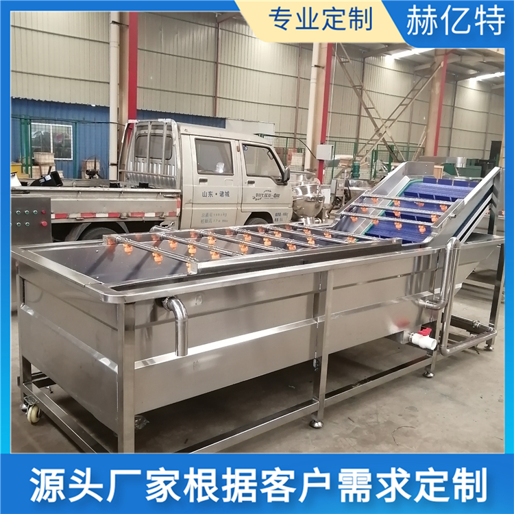 红枣气泡清洗机 大型食堂配送中心净菜加工设备 大枣清洗机 葡萄干清洗机 赫亿特机械