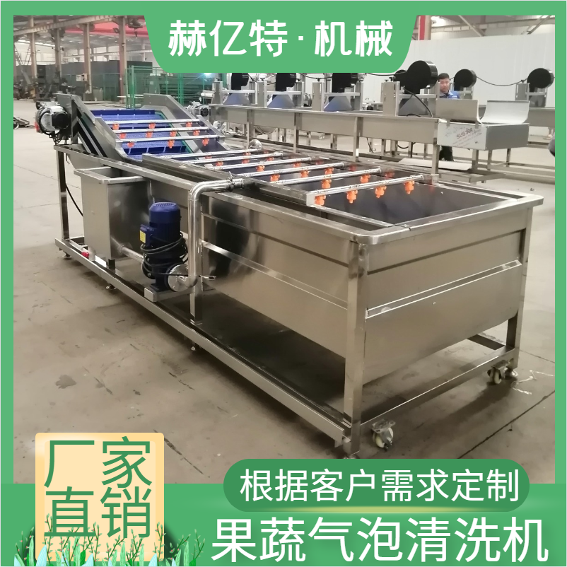 大型蔬菜气泡清洗机 商用瓜果清洗设备 洗葡萄花椒豆角辣椒机 大型洗菜机