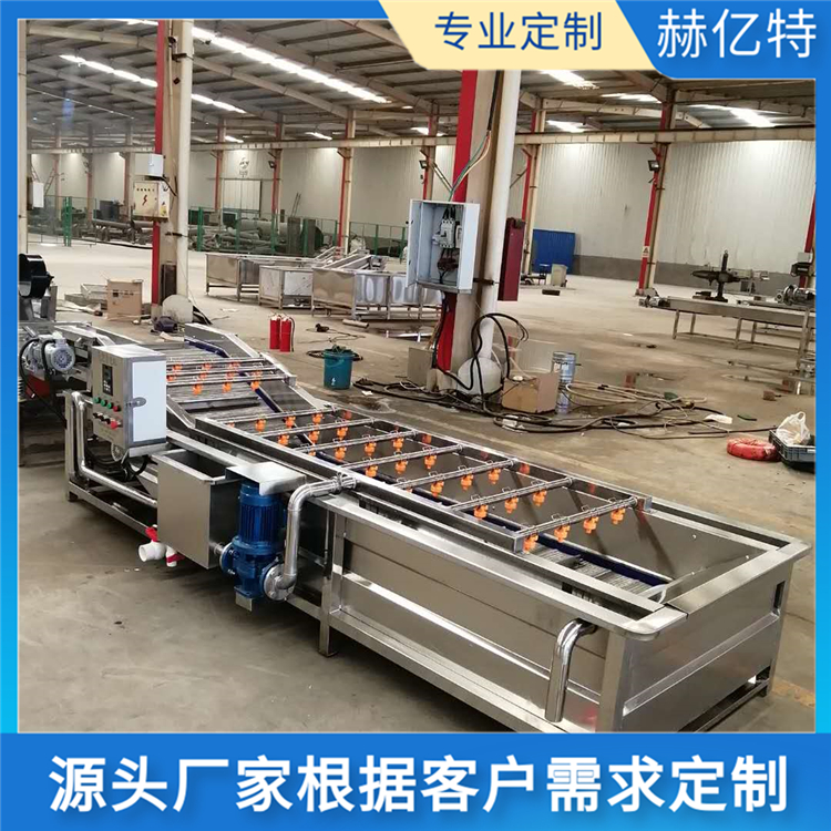 冰糖橙气泡清洗机 大型食堂配送中心净菜加工设备 沃柑清洗机 血橙清洗机 赫亿特机械