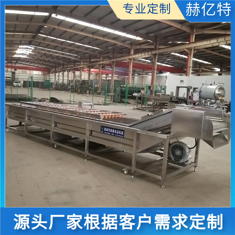 柠檬气泡清洗机 大型食堂配送中心净菜加工设备 辣椒清洗机 土豆清洗机 赫亿特机械