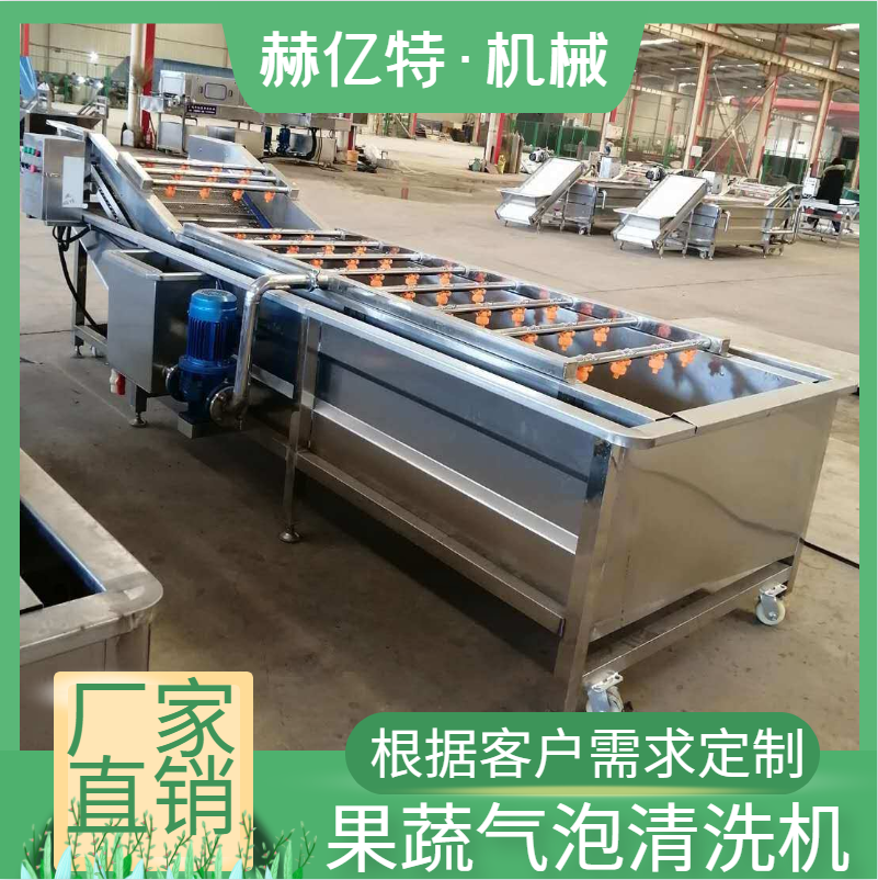 枸杞气泡清洗机 蓝莓气泡清洗机 豆角清洗设备 果蔬清洗机  赫亿特厂家定制